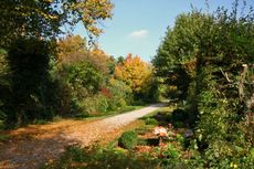 Herbst-Friedhof 022.jpg